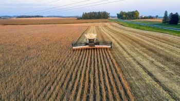 Imagem aérea de uma colheitadeira trabalhando em um grande campo de cultivo, com fileiras de grãos já cortadas e outras ainda por colher. Ao fundo, há uma estrada e áreas verdes com árvores, sob céu claro.
