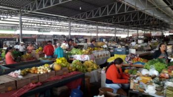 Interior do Mercado Novo de Correntina, com várias barracas de frutas, verduras e produtos frescos. Comerciantes e clientes circulam pelo espaço coberto, movimentando a feira em um ambiente amplo e organizado.