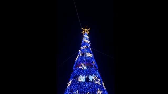 Árvore de Natal iluminada em tons de azul, decorada com estrelas luminosas brancas e douradas. No topo, uma estrela dourada brilha contra o céu noturno escuro.