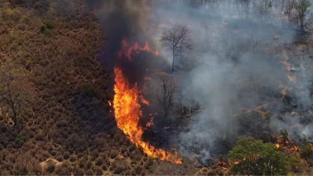 Fotografia aérea vertical mostrando o impacto de um incêndio florestal em estágio avançado. No centro da imagem, labaredas altas consomem a vegetação, gerando uma coluna de fumaça escura e espessa que sobe verticalmente. À direita, observa-se uma vasta área já devastada, com árvores carbonizadas e o solo coberto por cinzas e fumaça clara. À esquerda, a vegetação ainda permanece intacta, criando um forte contraste visual entre a vida e a destruição causada pelo fogo.