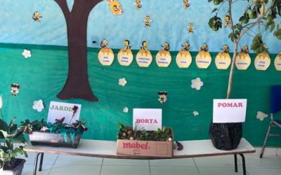 Escolas de Correntina relatam experiências do Programa Escolas Criativas