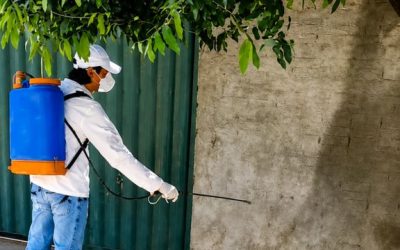 Prefeitura reforça combate à dengue e orienta população sobre eliminação de criadouros