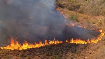 Uma fotografia aérea, capturada por um drone, mostra uma linha de fogo ativa avançando sobre uma área de vegetação rasteira e seca. As chamas alaranjadas formam uma fronteira nítida entre o solo já queimado e a vegetação ainda preservada, gerando uma densa coluna de fumaça cinza que cobre parte das árvores ao fundo.