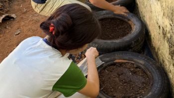 Estudante participa da construção de canteiros utilizando pneus reutilizados como recipientes para plantio. A atividade integra ações de educação ambiental e reaproveitamento de materiais desenvolvidas durante a Semana do Meio Ambiente em escola da rede municipal de Correntina.