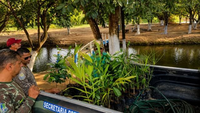 Equipe da Secretaria Municipal de Meio Ambiente transporta mudas de espécies nativas em uma caminhonete estacionada às margens de um rio, em área arborizada de Correntina. Ao redor do veículo, servidores acompanham a atividade de plantio e preservação ambiental durante ação da Semana do Meio Ambiente.